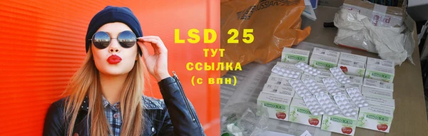 a pvp Аркадак