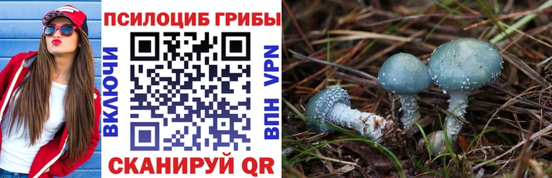 Псилоцибиновые грибы Psilocybe  Дюртюли 